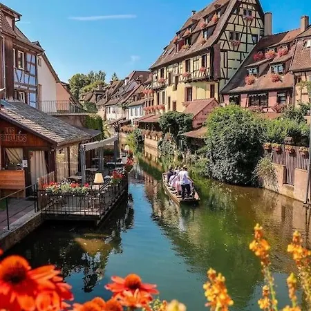 Vila Beautiful Mansion In Aslace In Near Strasbourg