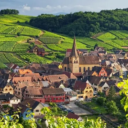 Beautiful Mansion In Aslace In Near Strasbourg