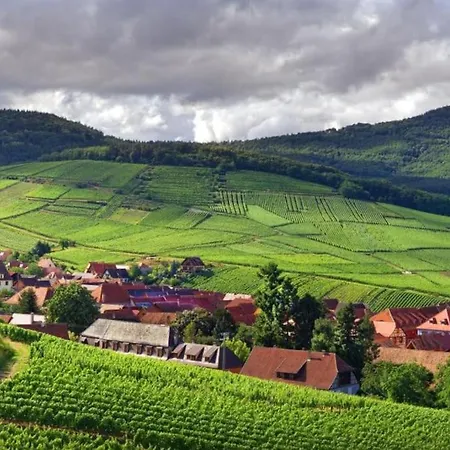 Beautiful Mansion In Aslace In Near Strasbourg Villa *