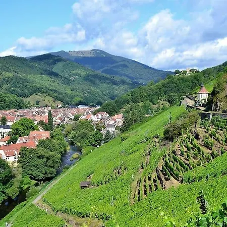 Beautiful Mansion In Aslace In Near Strasbourg