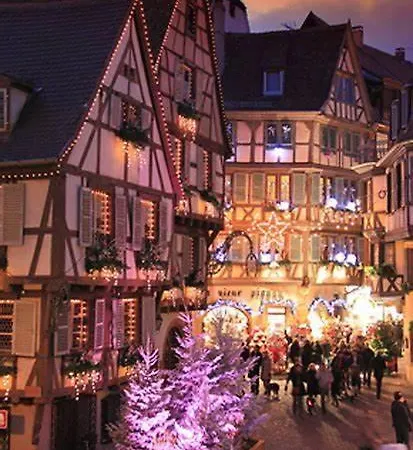 Vila Beautiful Mansion In Aslace In Near Strasbourg *